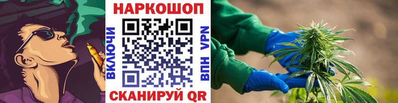 Купить наркотик Каменногорск Бошки Шишки  СК  Амфетамин  МДМА  Гашиш 