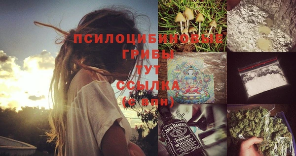 СК Арсеньев