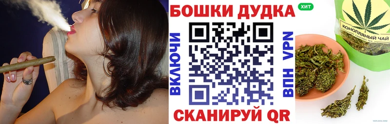 магазин продажи наркотиков  Каменногорск  Бошки Шишки SATIVA & INDICA 
